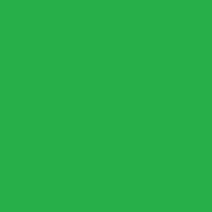 Gildan Adult 5.3 oz. T-Shirt - Green Design
