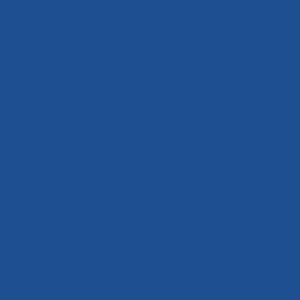 Gildan Adult 5.3 oz. T-Shirt G500 - Blue Design