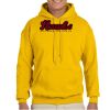 Adult Heavy Blend™ Hooded Sweatshirt Thumbnail