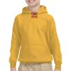 Youth Heavy Blend™ Hooded Sweatshirt Thumbnail